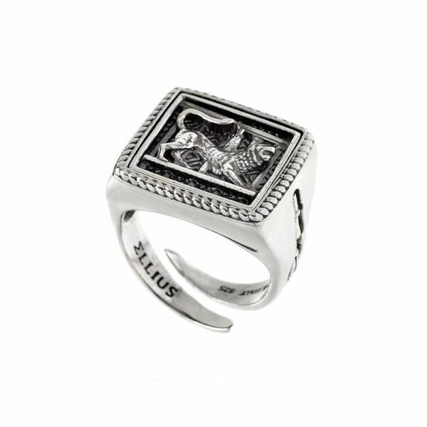 Square Ring Chimera