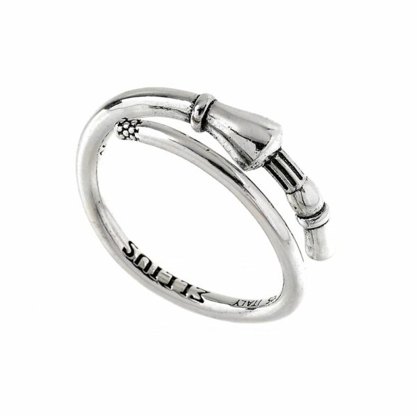 Anello con la lancia della giostra