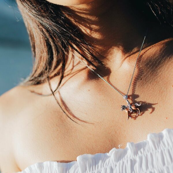Indossato Collana Giostratore