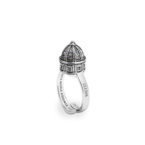 Anello Cupola Minimal S Maria Assunta Palermo