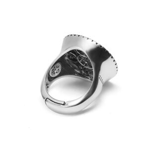 Anello Rosone Cattedrale Natività Maria Vergine Milano Retro