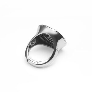 Anello Rosone Duomo Santa Maria Assunta Pisa