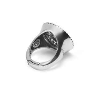 Anello Rosone San Pietro Apostolo Cerignola Retro