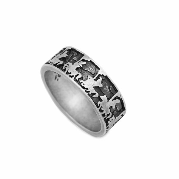 anello sfilata del cavaliere uomo argento ellius